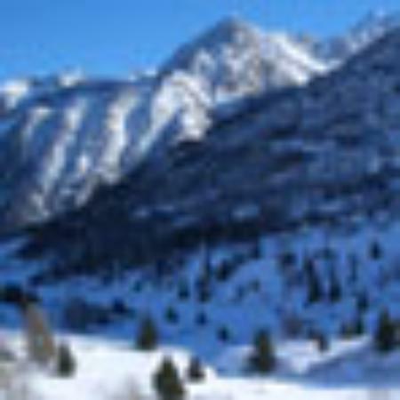 Popeyes Louisiana Kitchen